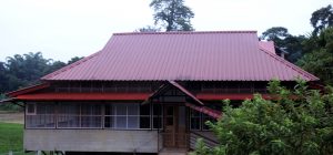 DynaLume red metal roof