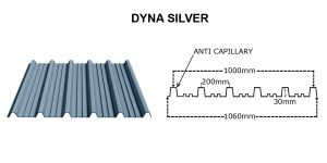 Dyna-Silver-product-and-details