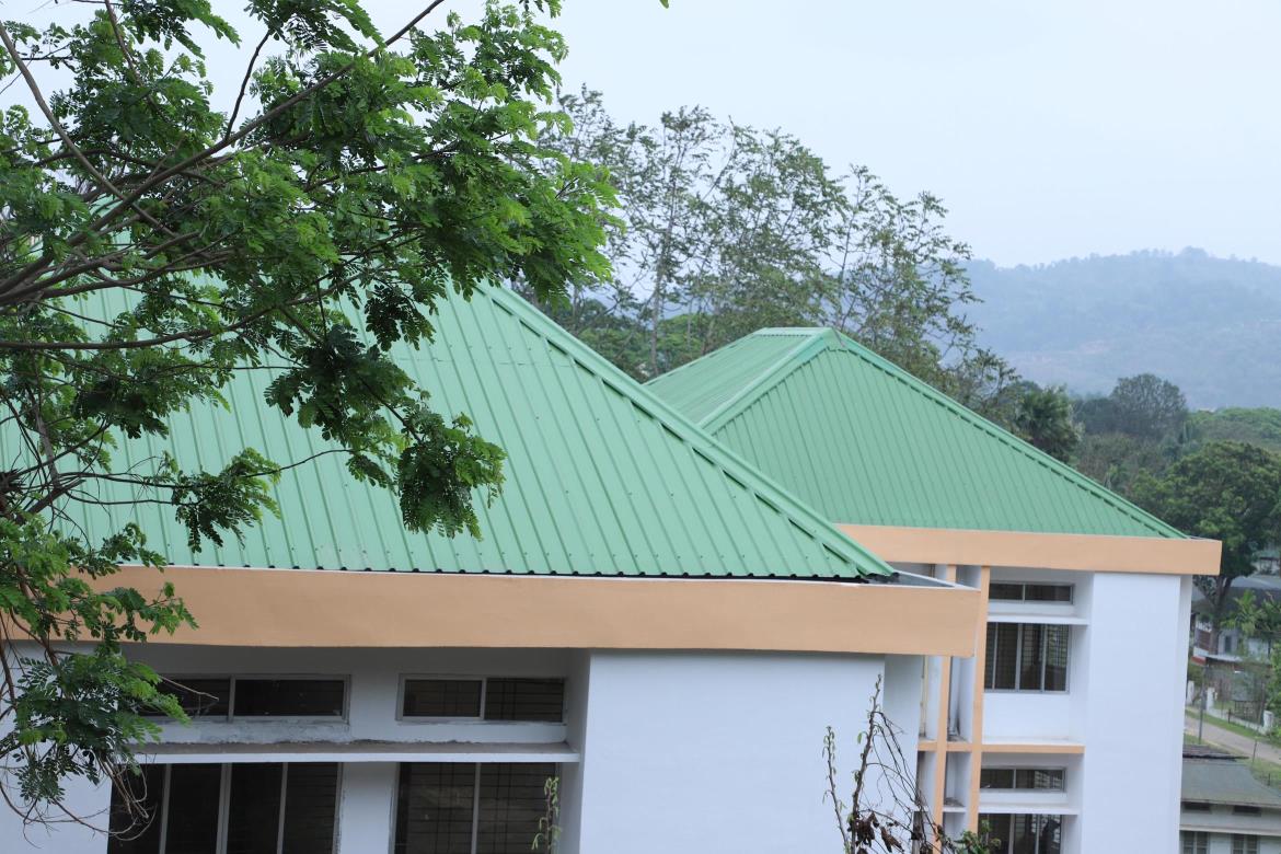 Green-metal-DynaRoof-roof