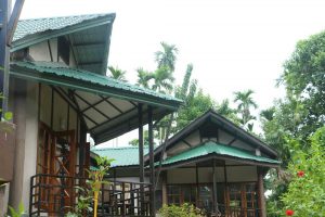 DynaRoof-roof-on-Infinity-Resort-Kaziranga-room-roof