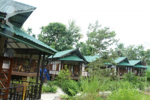 DynaRoof-roof-on-Infinity-Resort-Kaziranga-rooms