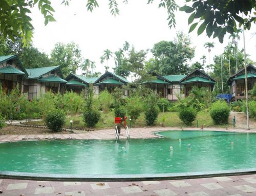 Infinity Resort Kaziranga