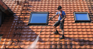 Cleaning-Roof