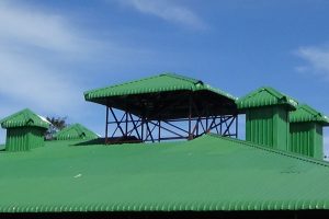 DynaRoof Green metal roof